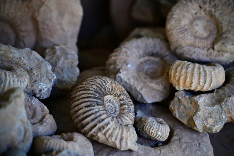 20241124_164236_929E1D