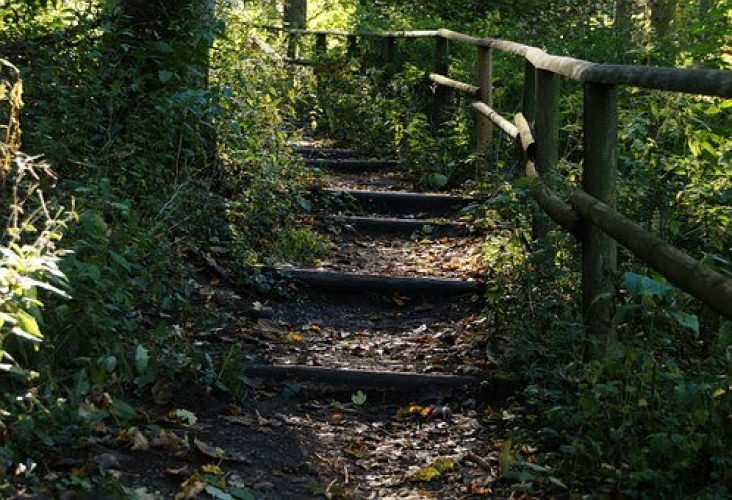 Naturtreppe Holzbohlen Pixabay